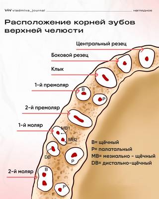 Мем